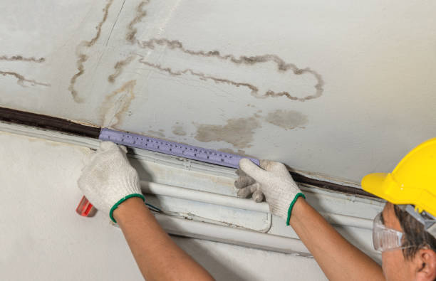 Reliable Water Damage contractor in Baldwin, MI by Water Damage Irwin